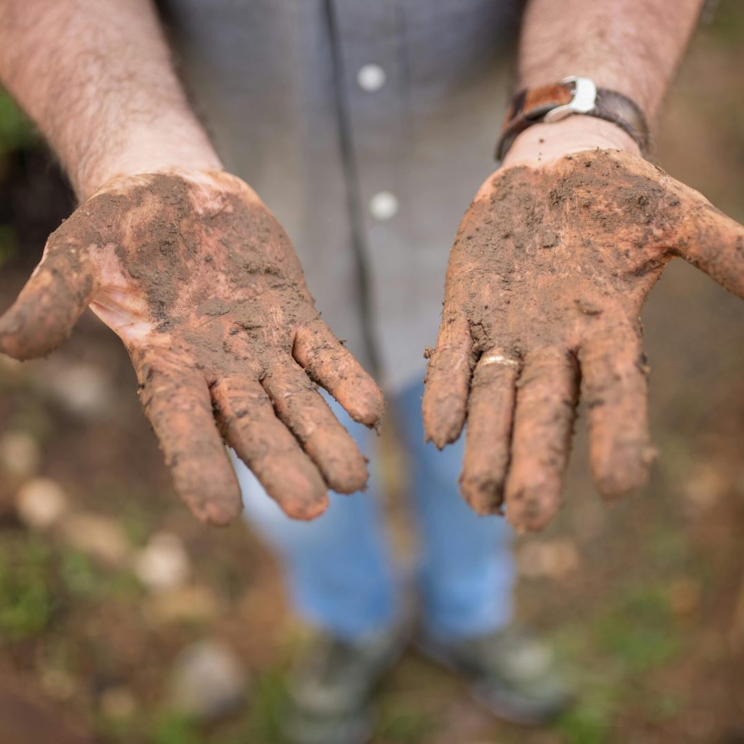 pexels-kampus-7658766